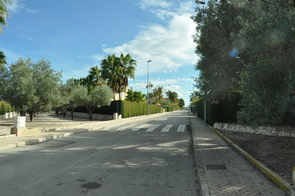 Oliva (Valencia) 15-12-2014