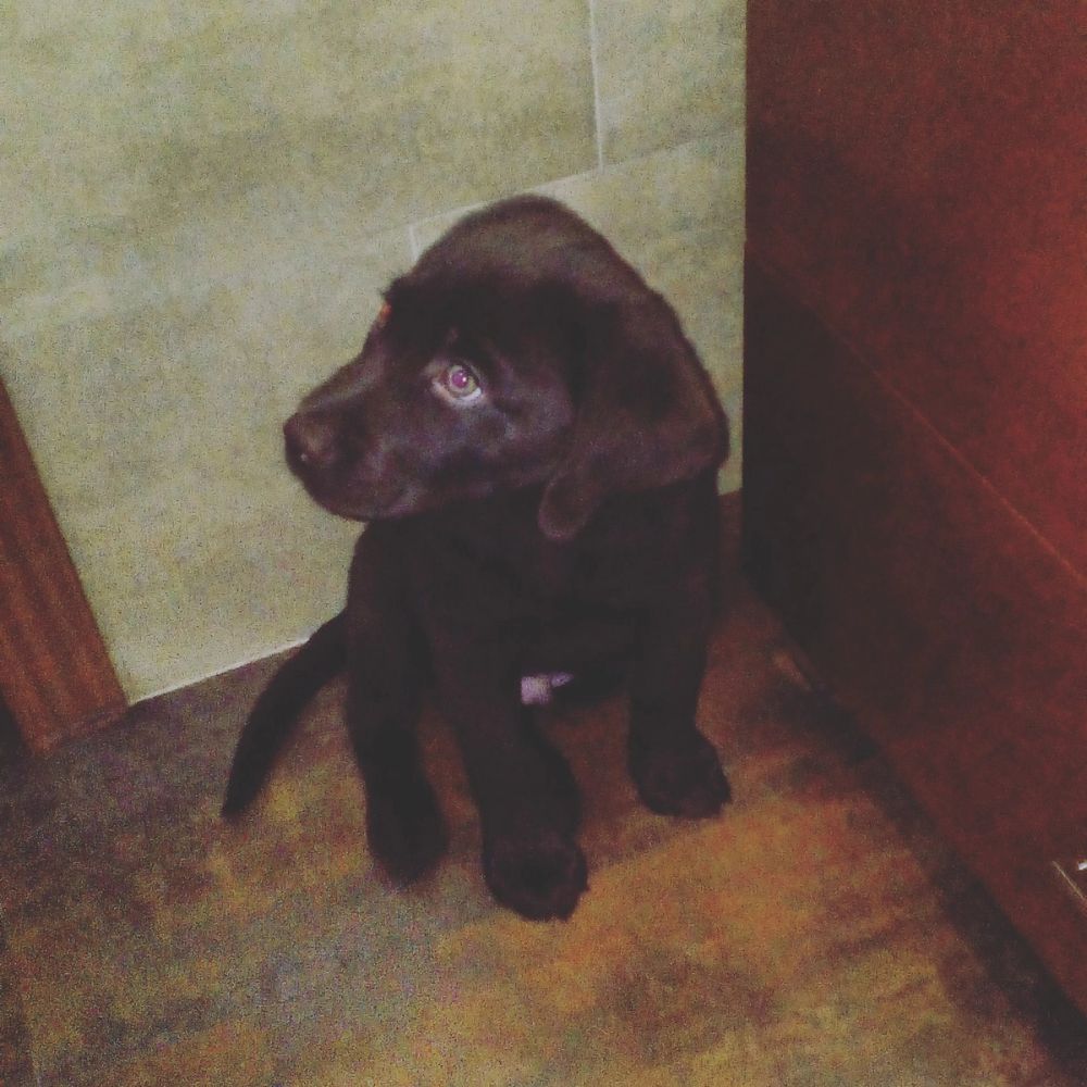 baby Conan