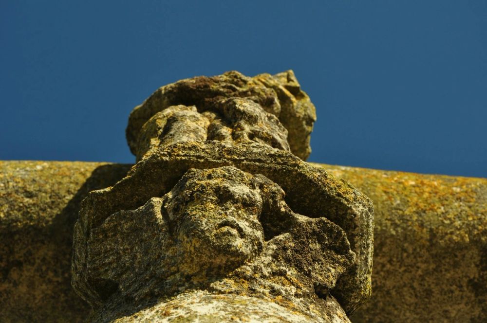 Roa del duero 2014