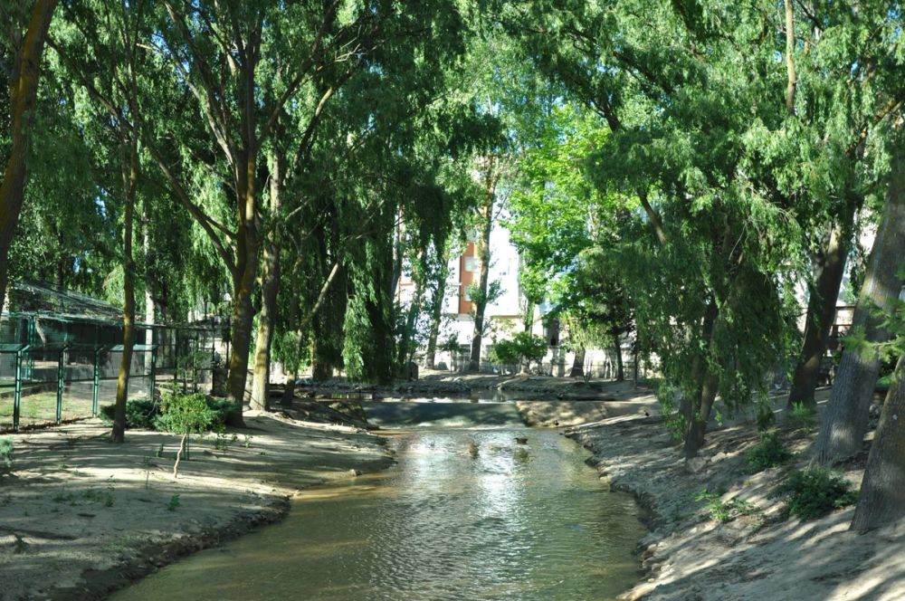 Aranda del duero 2014