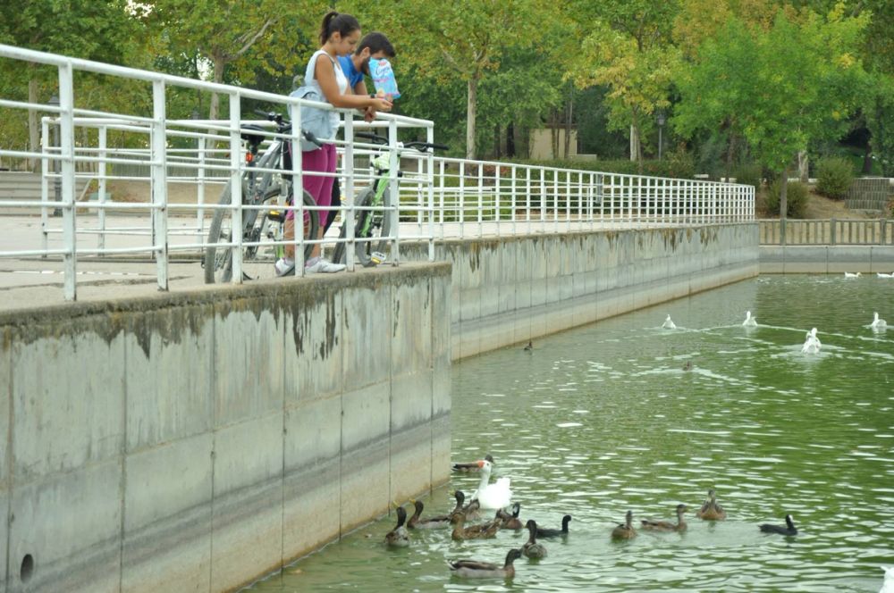 parque Polvoranca (Leganes) 30-08-2014