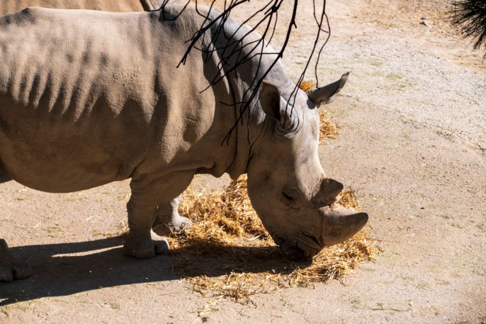 Zoo 17-08-2024