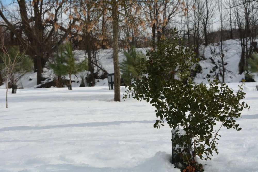 Leganes Nevado 2021 Dia 3