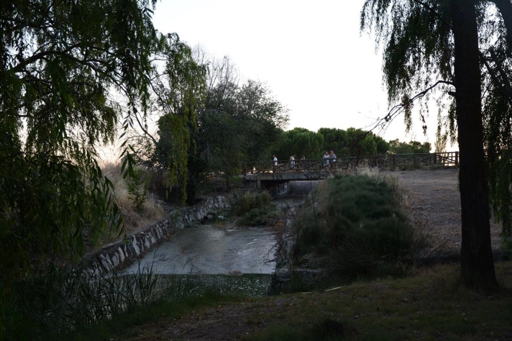 Parque Polvoranca (Leganes) 20-08-2017