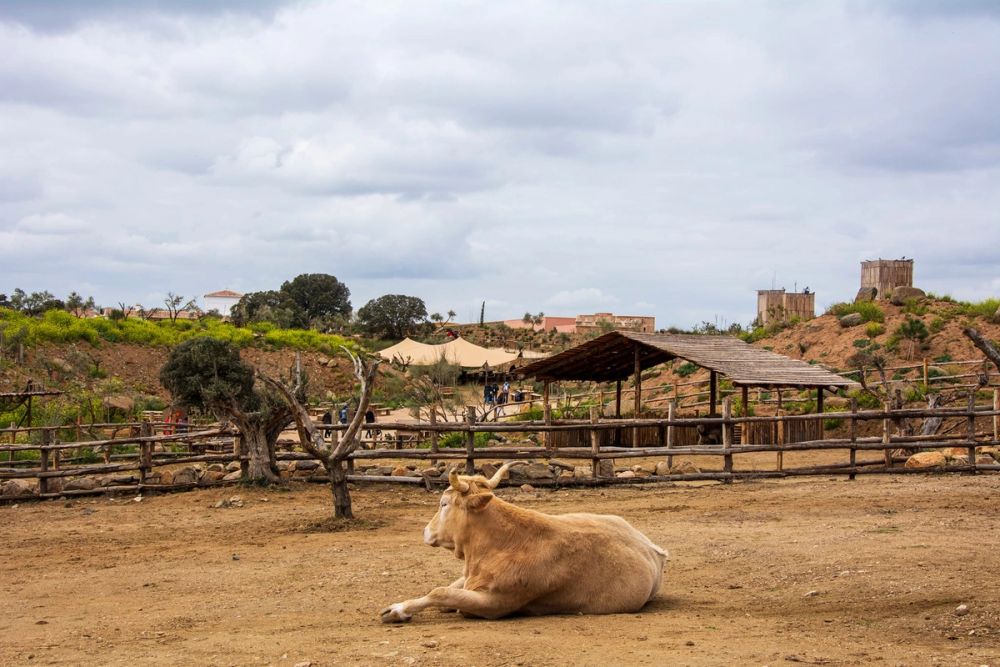 Puy Du Fou 19-03-2022