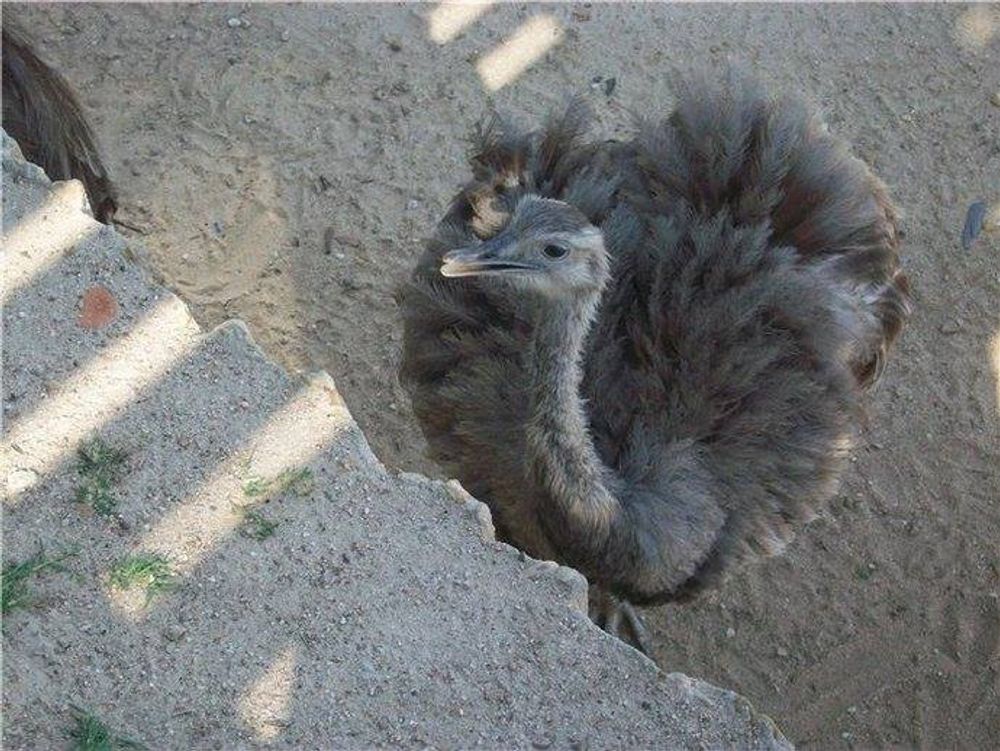 zoo 2010