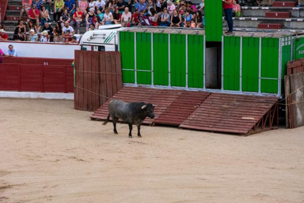 Toros en Colmenar Viejo 22-08-2019