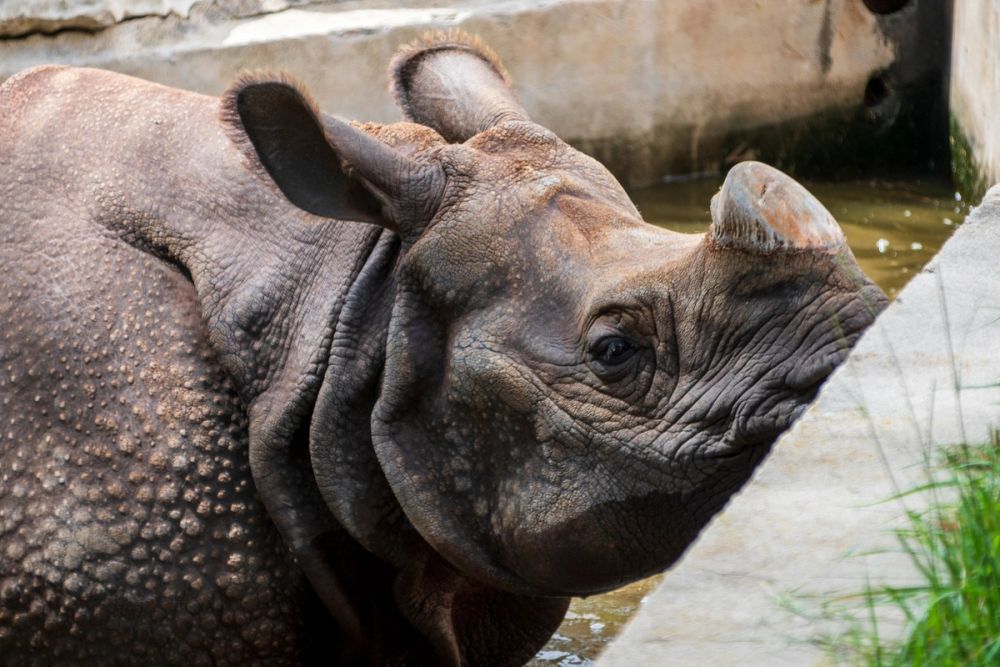 Zoo 17-08-2024