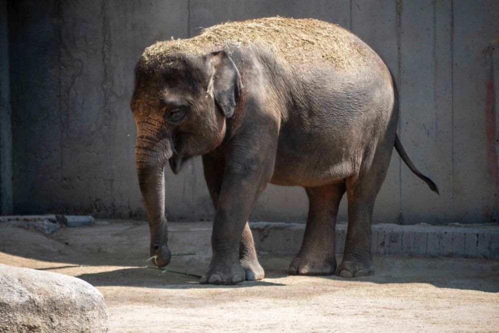 Zoo 29-07-2026