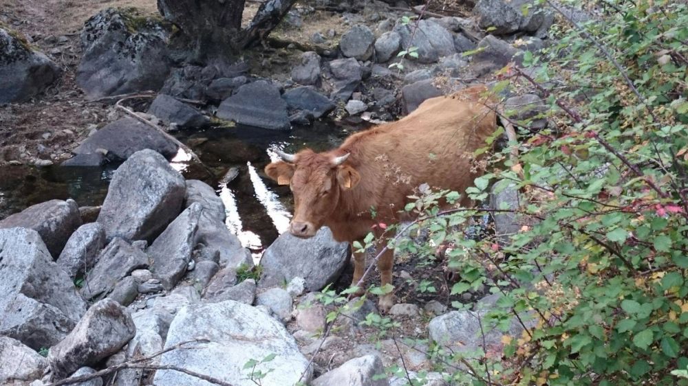 Cascadas del purgatorio 27-09-2015