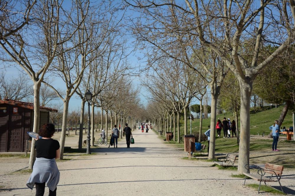Parque Polvoranca (Leganes) 18-03-2017