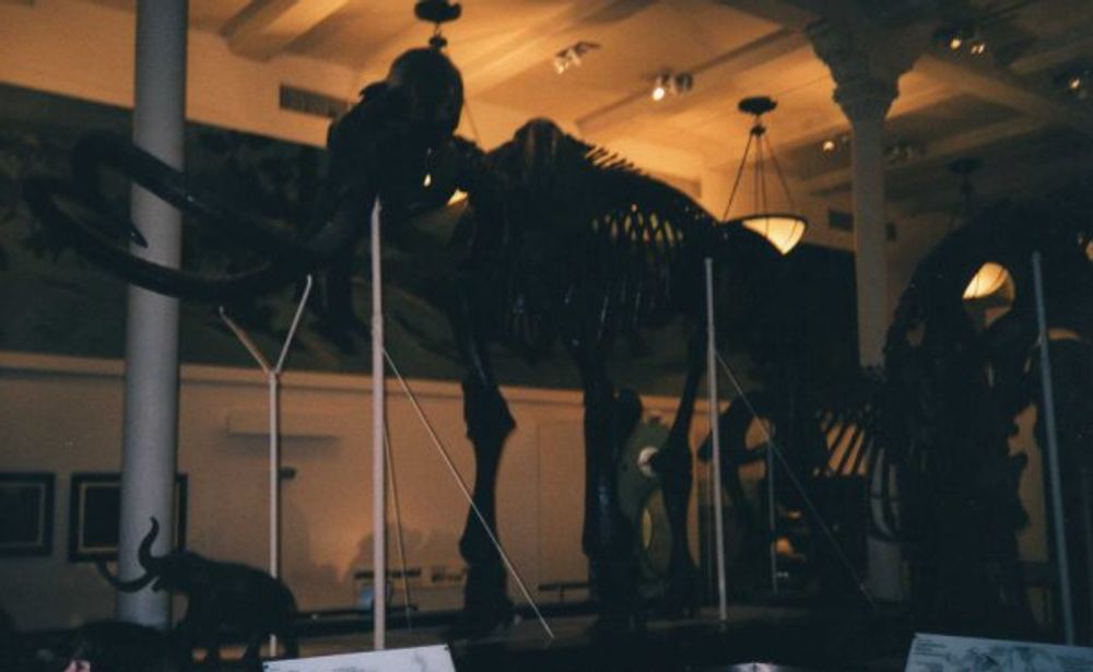 New York 2003