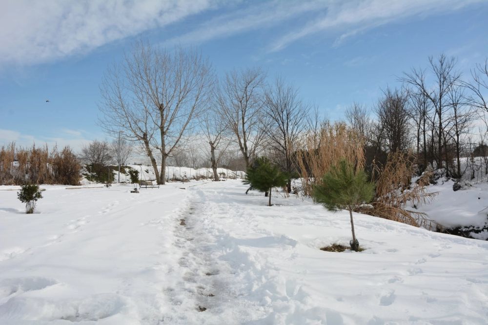 Leganes Nevado 2021 Dia 3