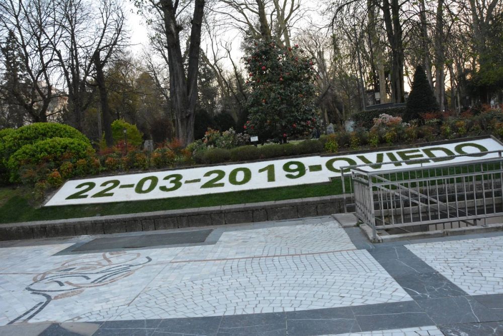 Oviedo 2019