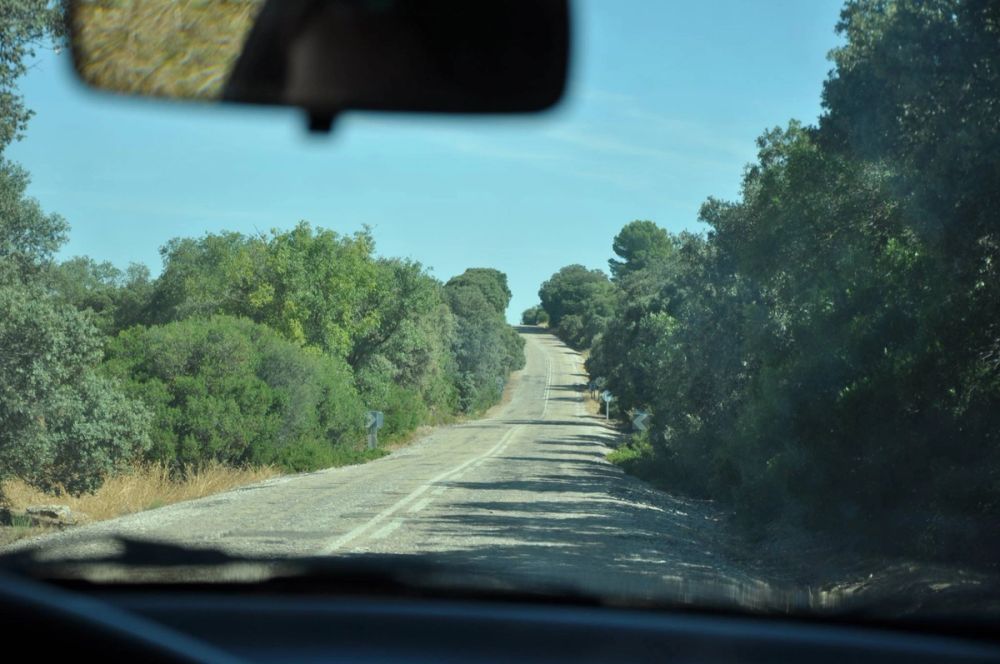 Valle de Lillo 2017