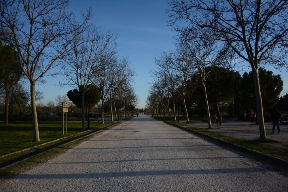 Parque Polvoranca (Leganes) 18-03-2017