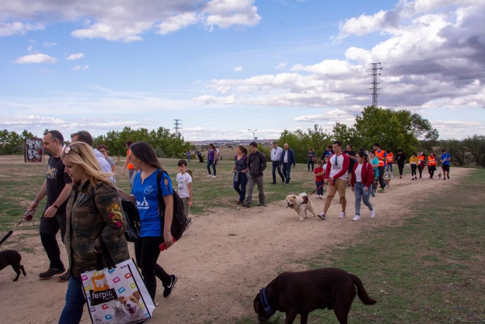 IV Ruta canina en Leganes 22-09-2019