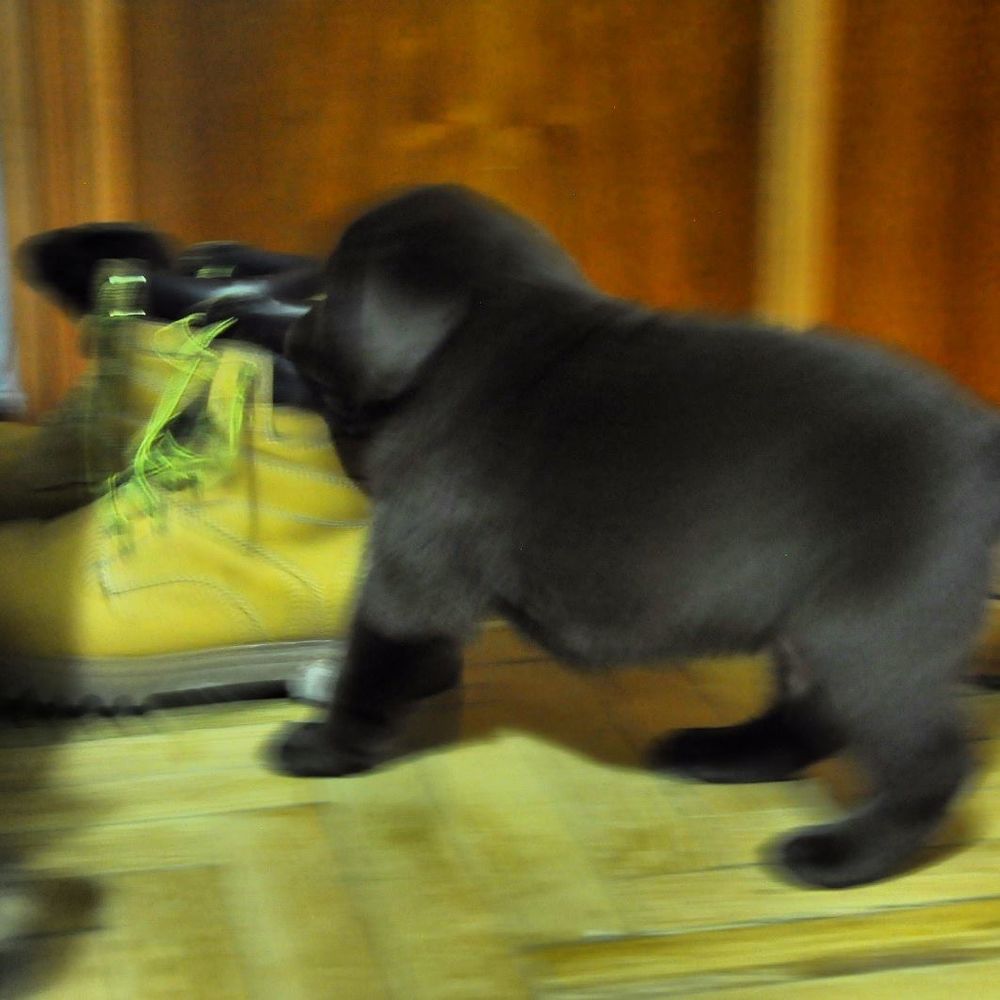 baby Conan