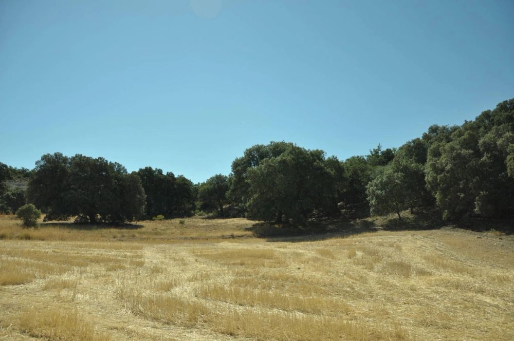 Valle de Lillo 2017