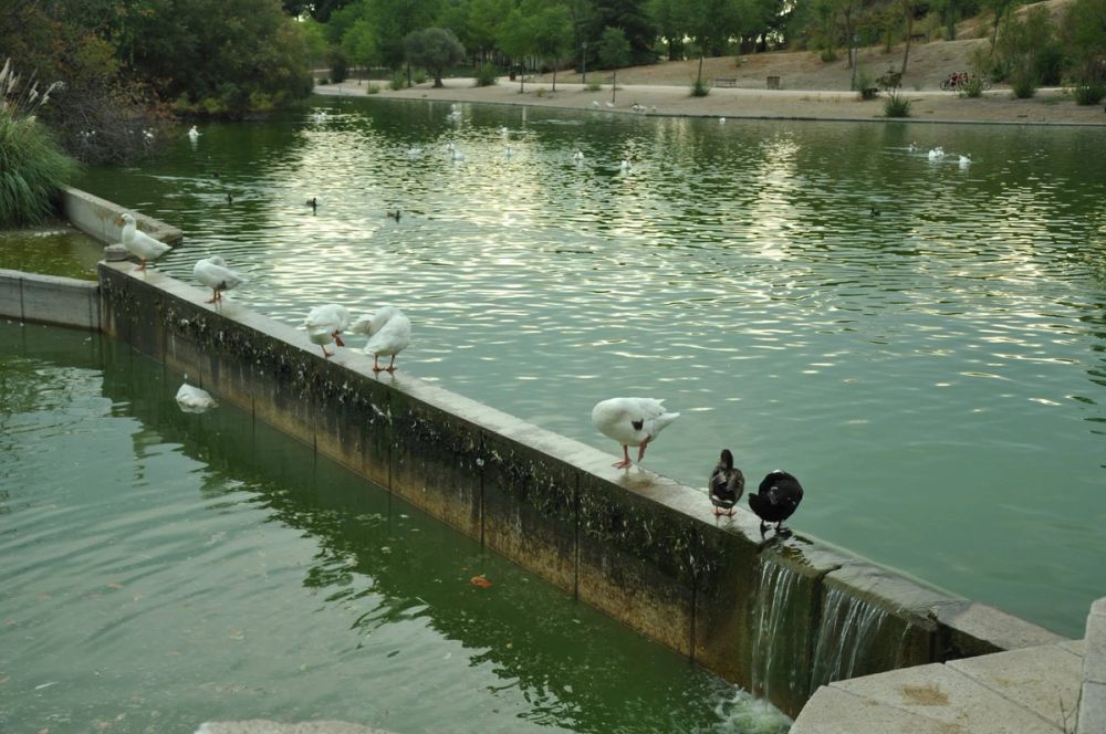 parque Polvoranca (Leganes) 30-08-2014