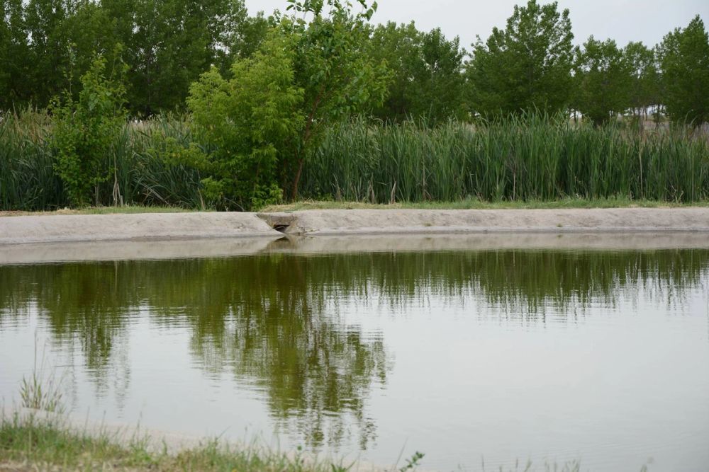 Parque polvoranca (Leganes) 10-06-2019