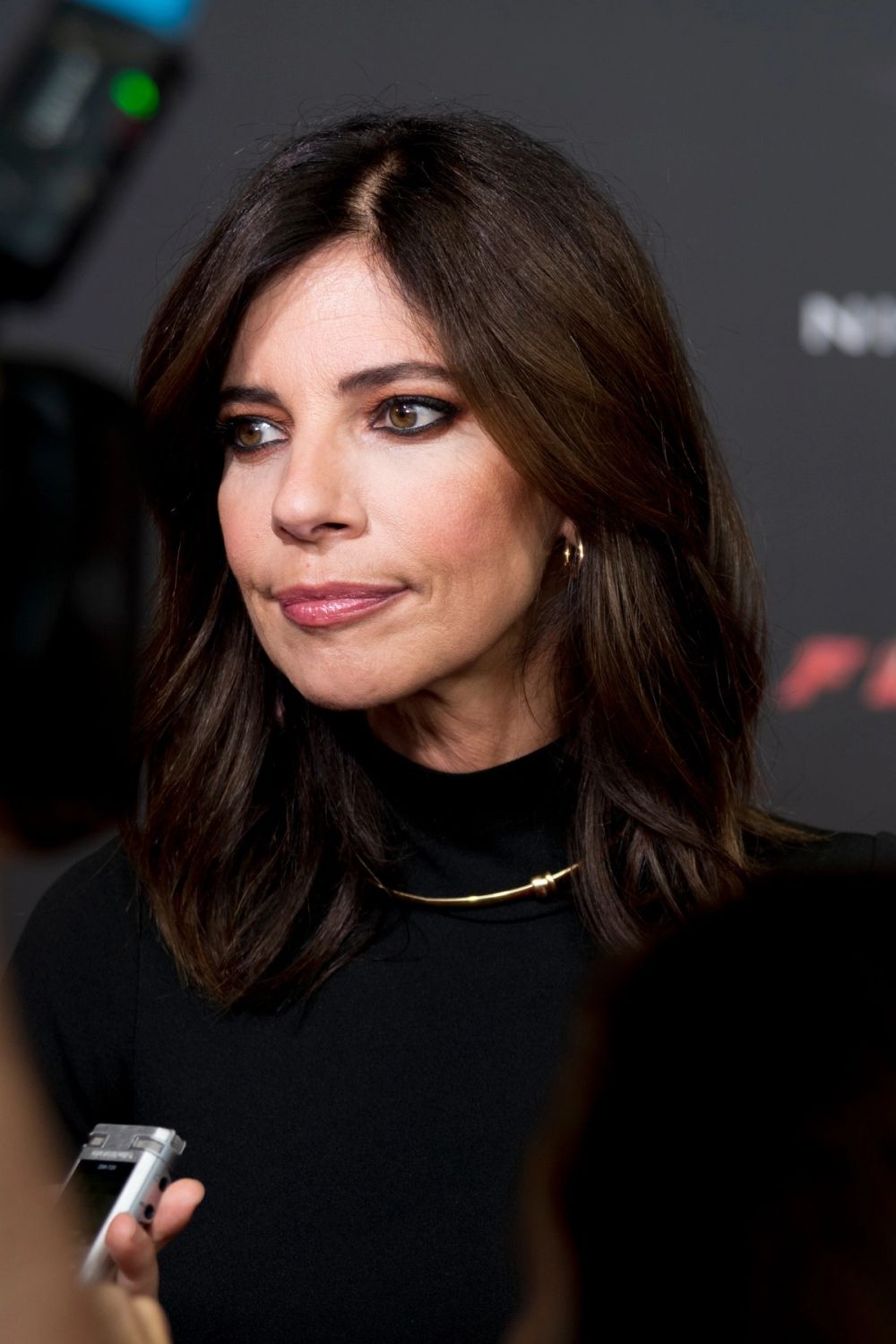 Maribel Verdú