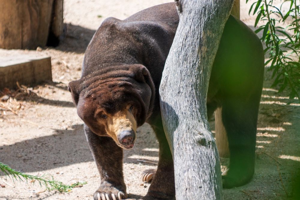 Zoo 17-08-2024