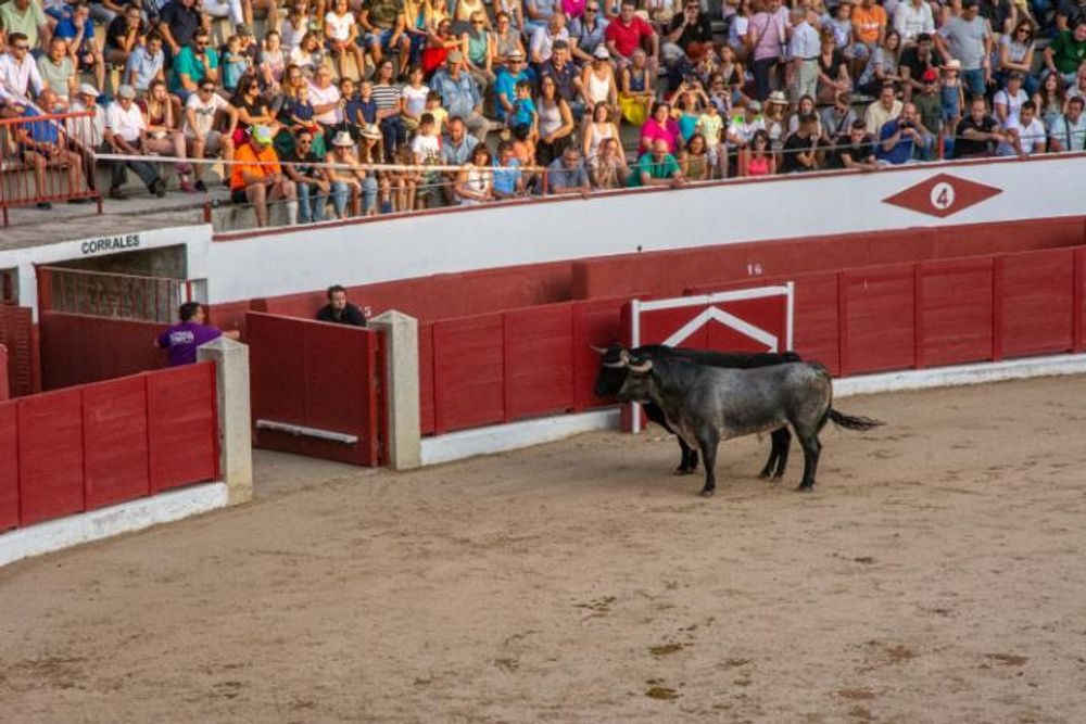 Toros en Colmenar Viejo 22-08-2019