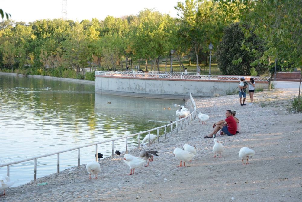 Parque Polvoranca (Leganes) 20-08-2017