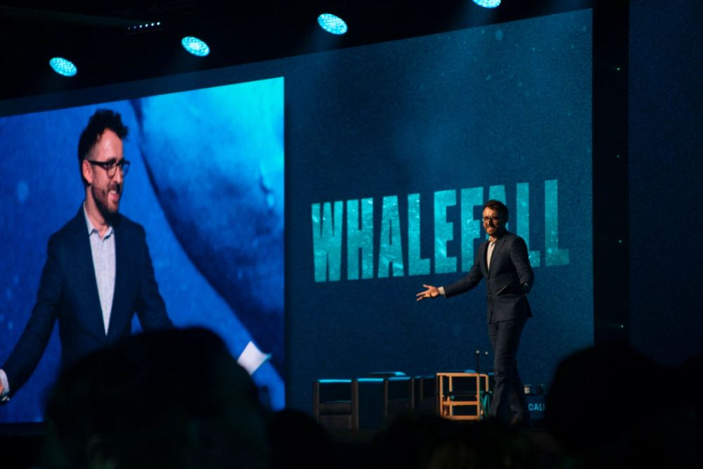 Panel de Whalefall