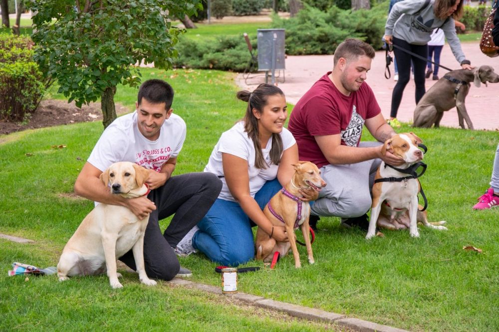 IV Ruta canina en Leganes 22-09-2019