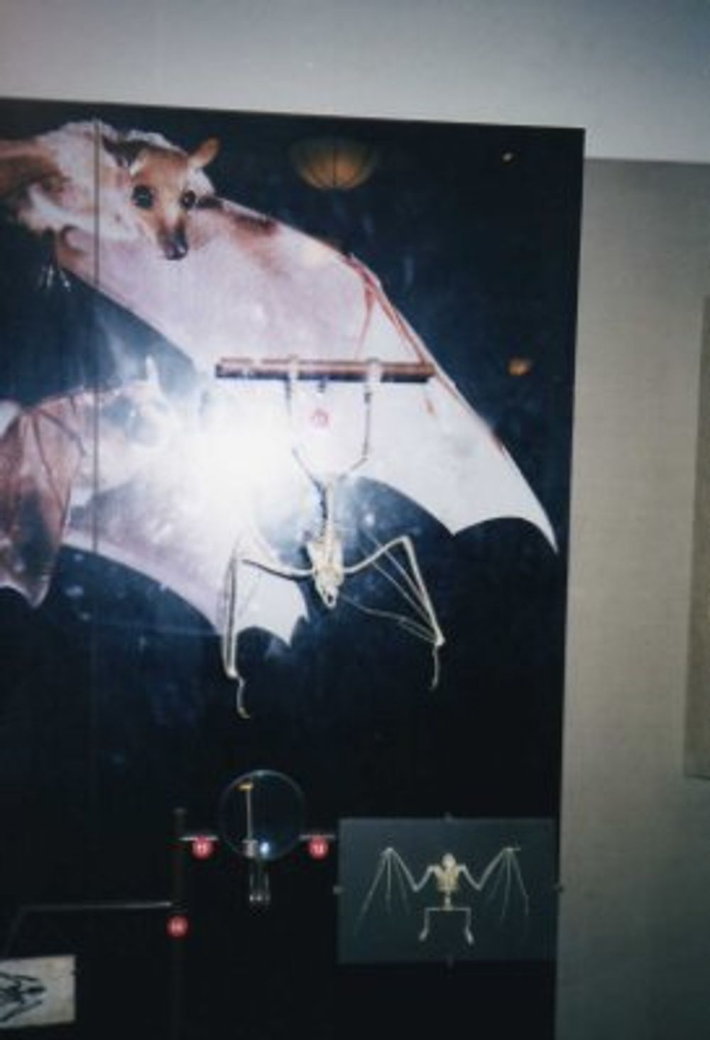New York 2003