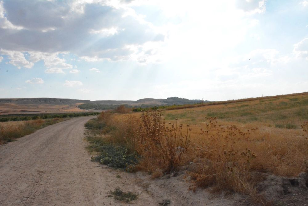 Cuevas del valle de Lillo 2020