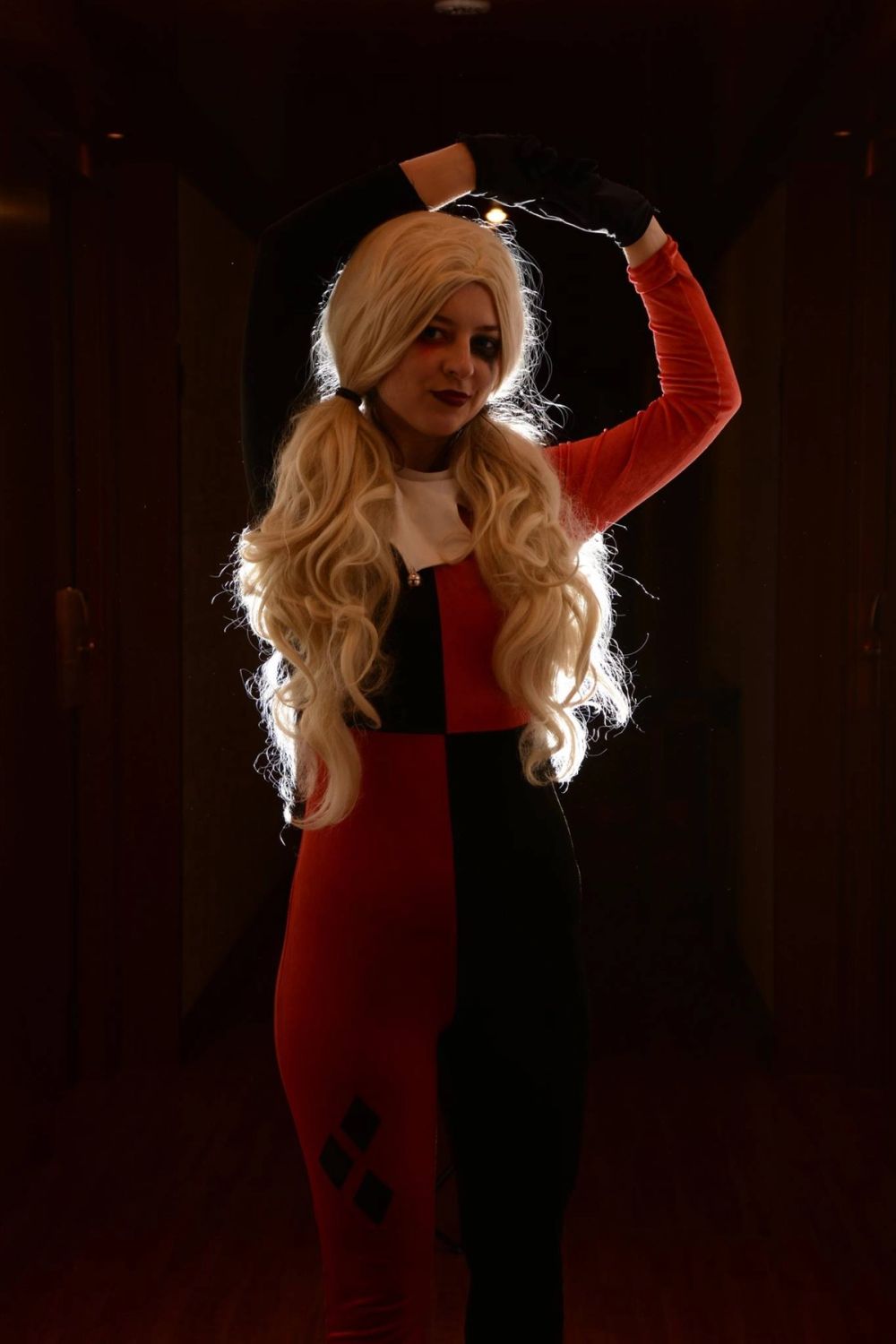 harley quinn 24-02-2019