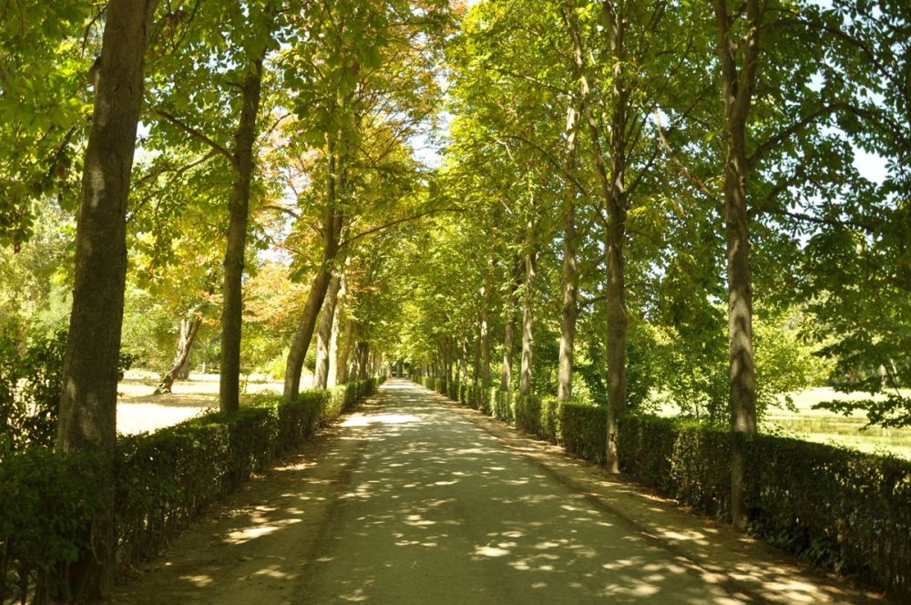 Aranjuez 2016