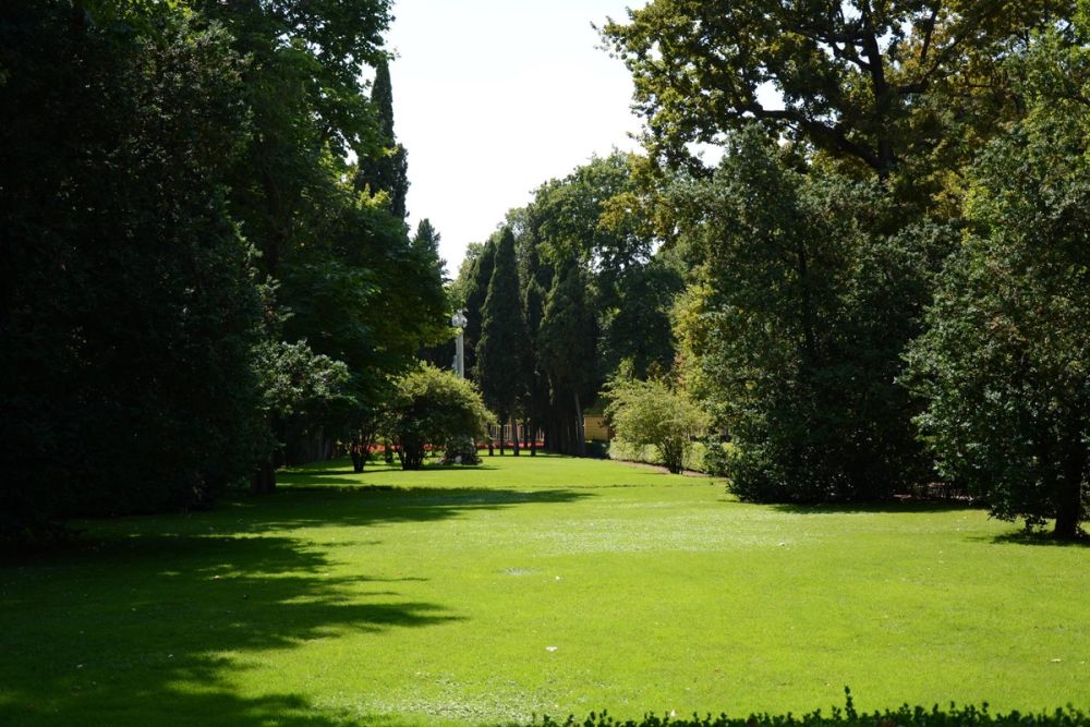 Parque de El capricho (Madrid) 2018