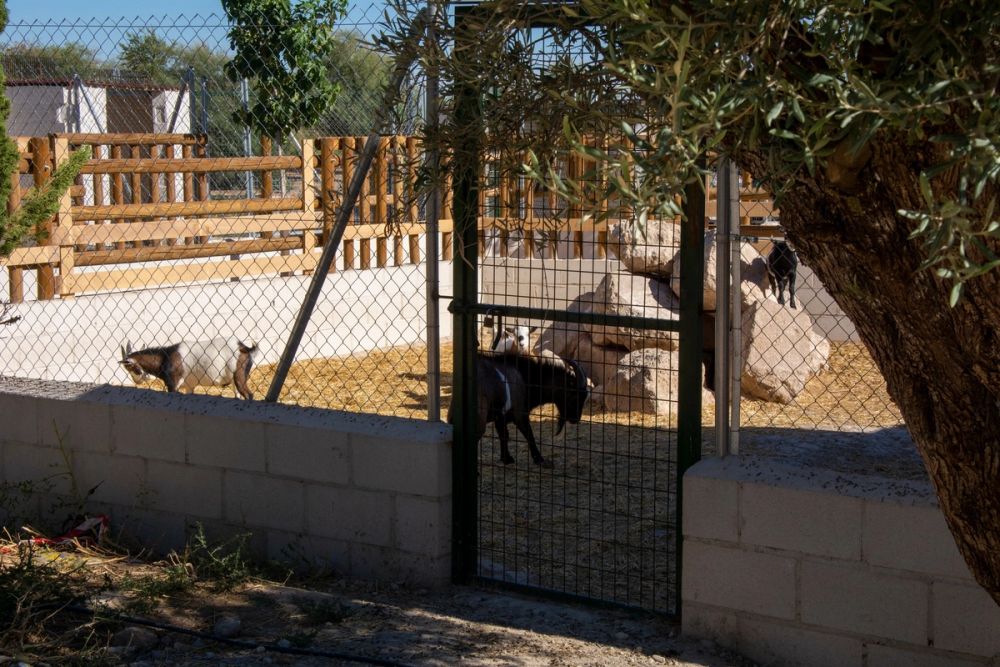Zoo de Lillo 03-09-2022