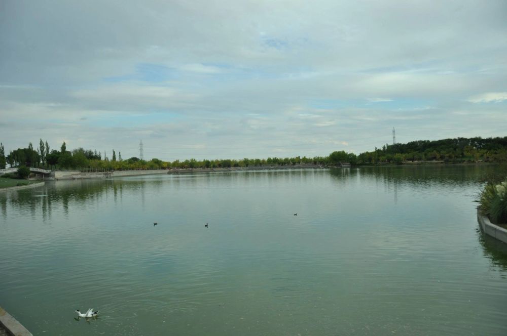 parque Polvoranca (Leganes) 30-08-2014