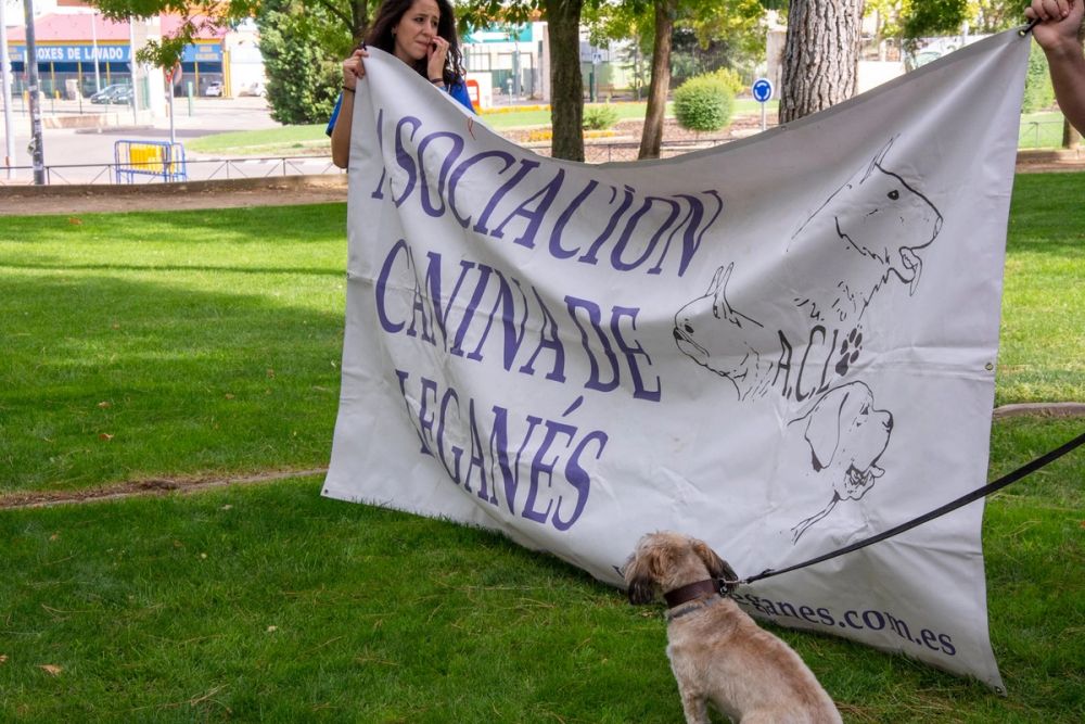 IV Ruta canina en Leganes 22-09-2019