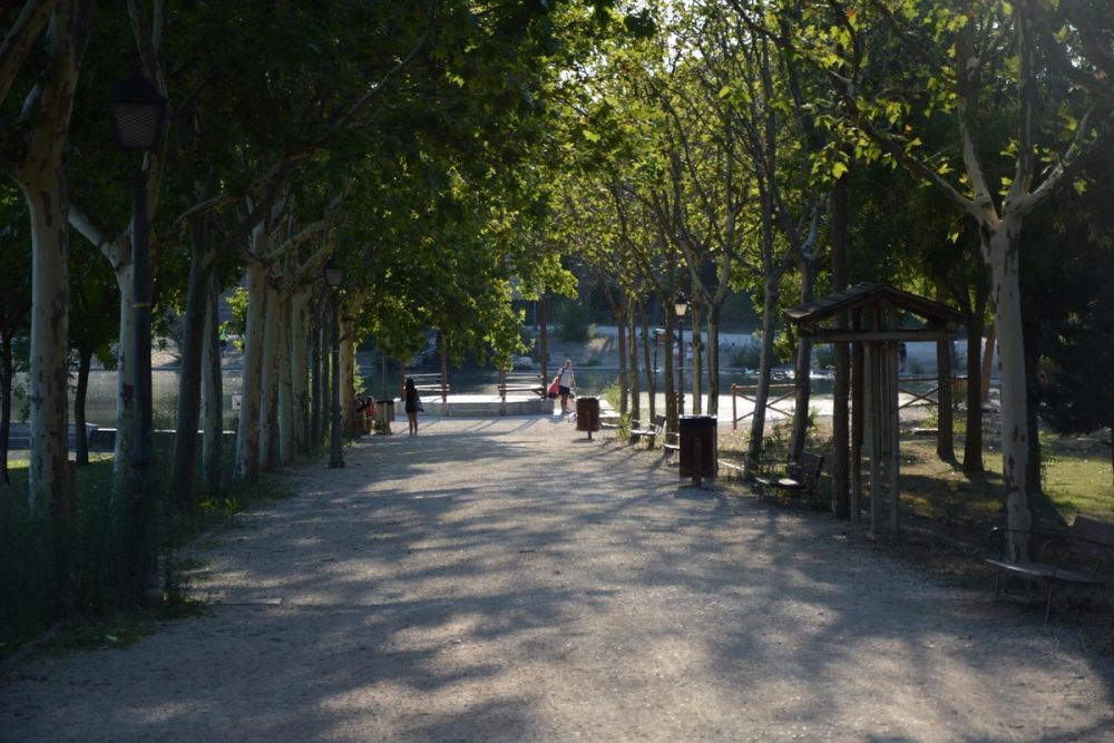 Parque Polvoranca (Leganes) 20-08-2017