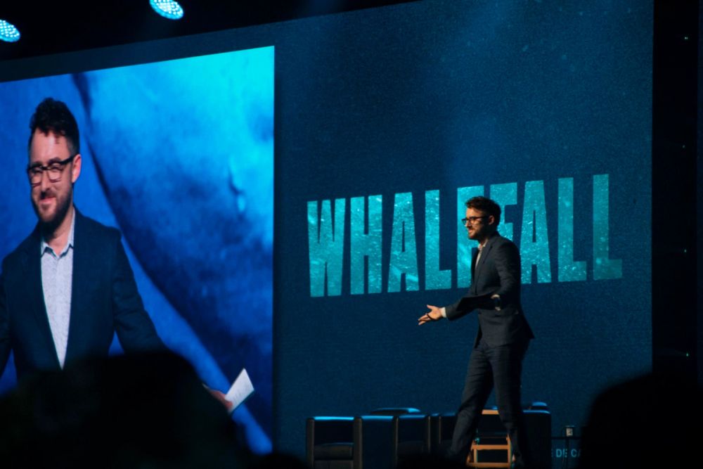 Panel de Whalefall