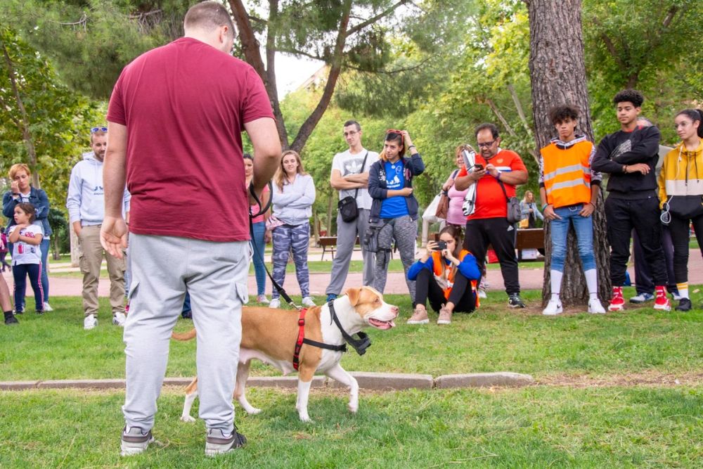 IV Ruta canina en Leganes 22-09-2019