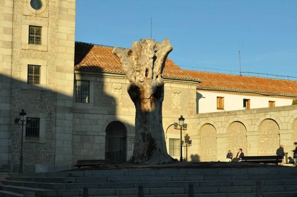 Segovia 2012