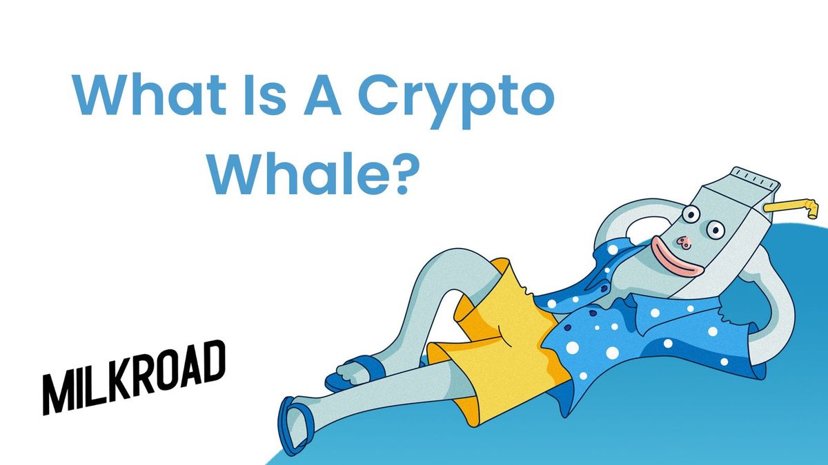 What Is A Crypto Whale - Meaning, Examples, & Tracking