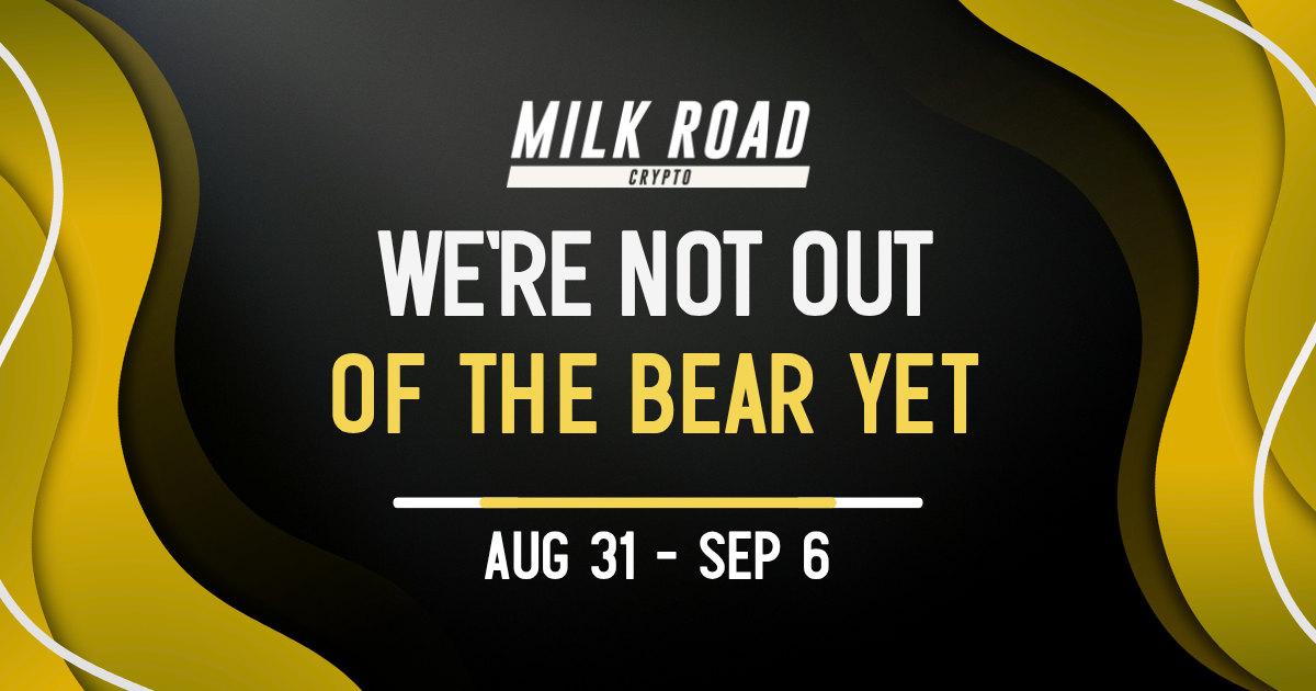 🥛 We're not out of the bear yet 🐻