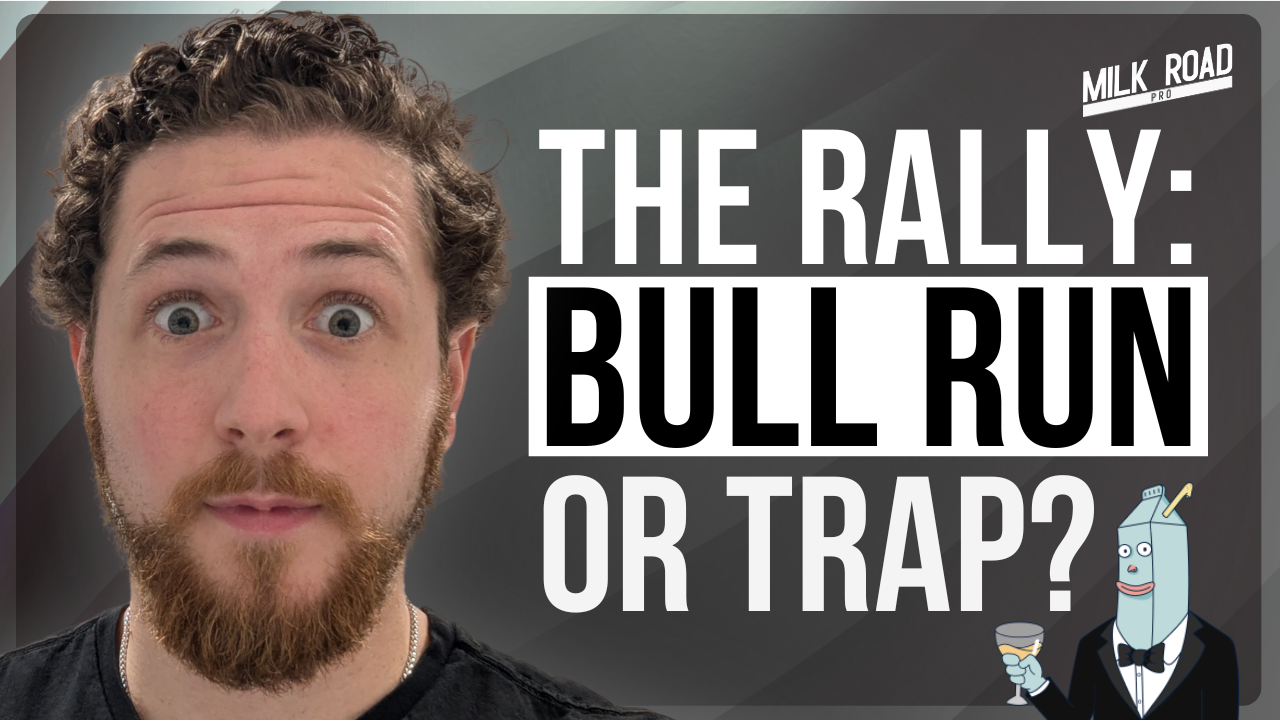 The rally: Bull run or trap?