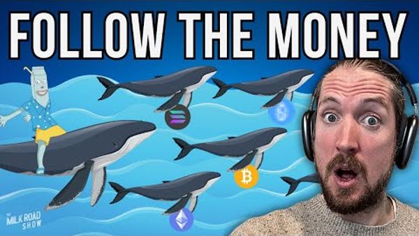 Institutional Crypto Trading Trends: What Are the Whales Buying?