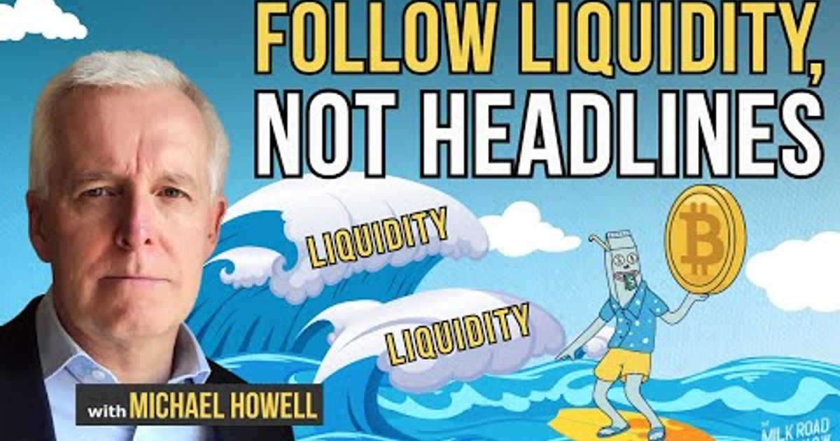 Michael Howell Invstor Michael Howell's Liquidity Framework: Why Bitcoin Is Winning & Will ...