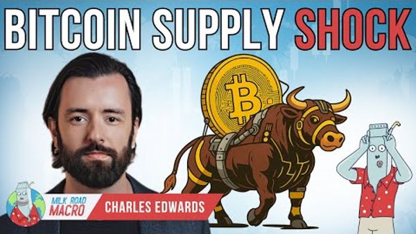 Bitcoin’s Golden Bull Run: Treasury Companies, Institutions & Macro Analysis w/ Charles Edwards
