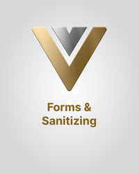 Vue Forms and Sanitizing cover